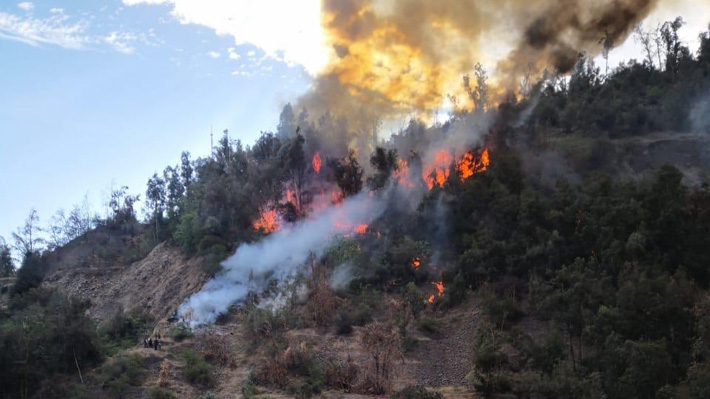 Intendencia RM declara Alerta Roja en comuna de Providencia por incendio que afecta a ladera del cerro San Cristobal