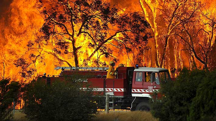 Incendios forestales arrasan 575.000 hectáreas en Australia