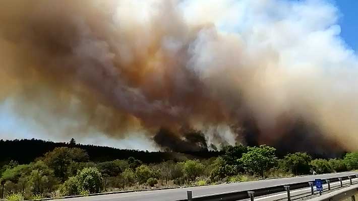 Decretan alerta roja para la comuna de Valparaíso por incendio forestal cercano a reserva Lago Peñuelas