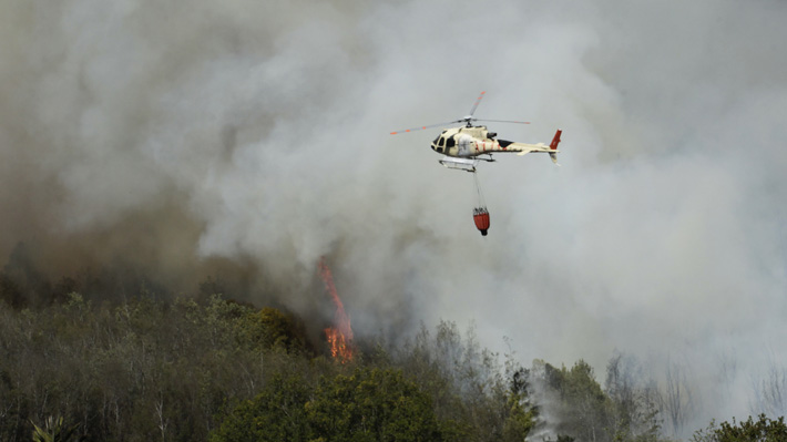 Agricultura pide prevenir incendios forestales: Siniestro en reserva Lago Peñuelas ha consumido 400 hectáreas