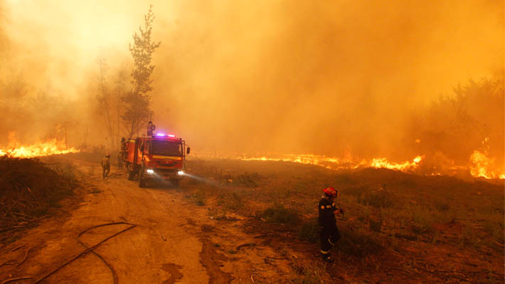 Balance de la Onemi reporta más de 2.030 hectáreas quemadas en la Región de Valparaíso