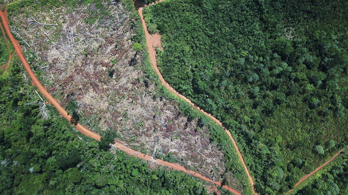 Amazonía perdió 9.762 kilómetros cuadrados de cobertura vegetal en un año según reporte del Gobierno de Brasil