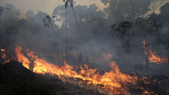 La deforestación sería la principal causa de la ola de incendios forestales que afectó al Amazonas este año