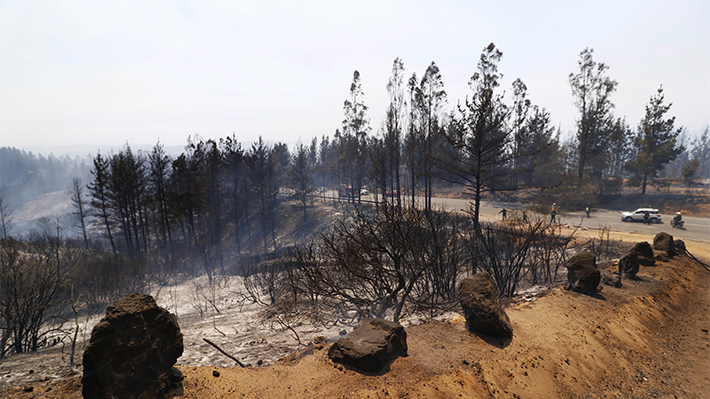 Ministro Walker confirma fiscal "con dedicación exclusiva" para indagar "intencionalidad" en incendios de Valparaíso