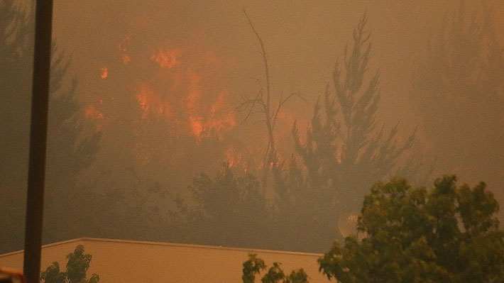 Incendios forestales en Valparaíso: Dos focos se mantienen activos y tres han sido controlados