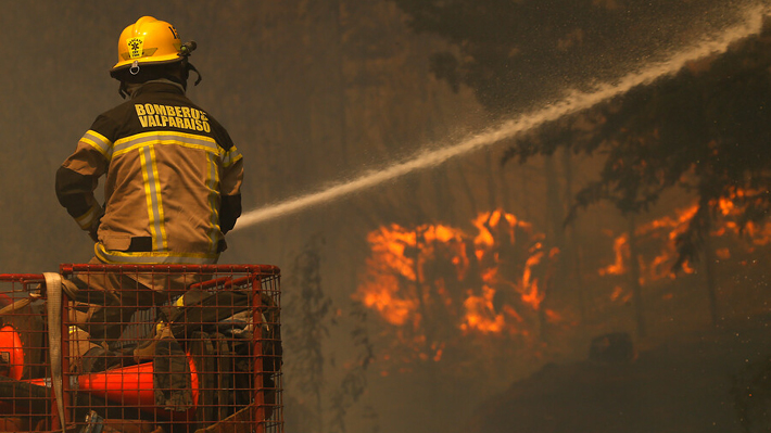 Ruta 68 está cortada en ambos sentidos por el incendio forestal de camino a Quintay en Valparaíso