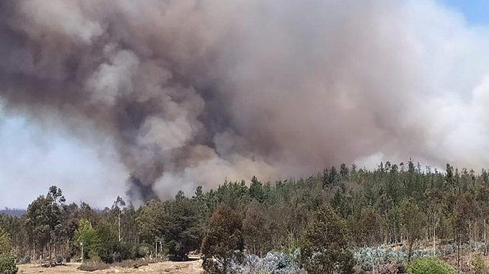 Incendio forestal en Valparaíso obliga a cerrar rutas Las Palmas y Agua Santa: Ya ha consumido más de 200 hectáreas