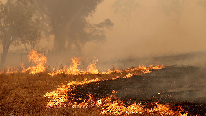 Dos bomberos que combatían incendios en Australia murieron tras volcarse el camión en el que se trasladaban