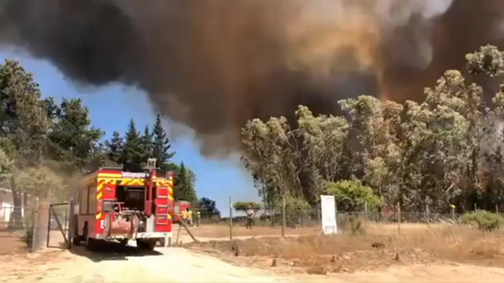 Intendencia RM decreta Alerta Roja en comuna de San Pedro de Melipilla por incendio forestal cercano a sectores habitados