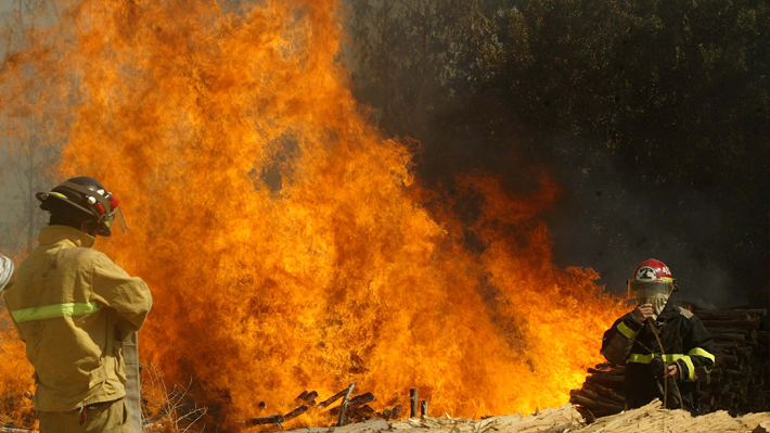Chillán, Olmué y Lumaco: Aumentan a tres las comunas con alerta roja por incendios forestales en el país