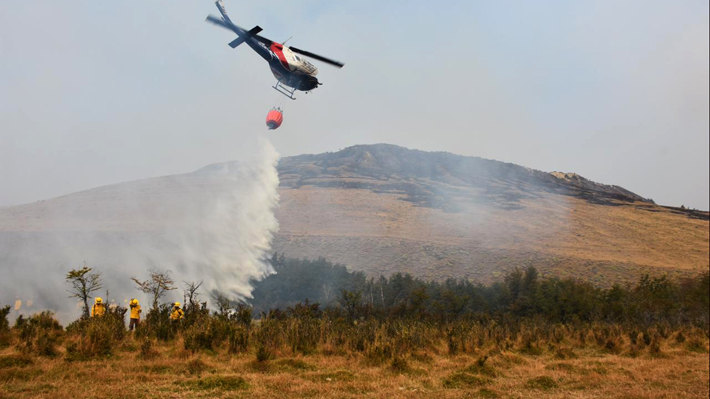 Balance de Onemi por incendios forestales: Se registran 57 a nivel nacional y siete se mantienen activos