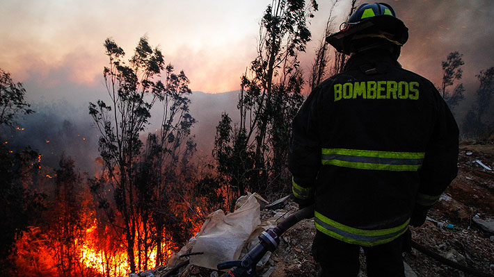 Onemi entrega nuevo balance de incendios forestales: 16 a nivel nacional, 3 activos, 12 controlados y uno extinguido