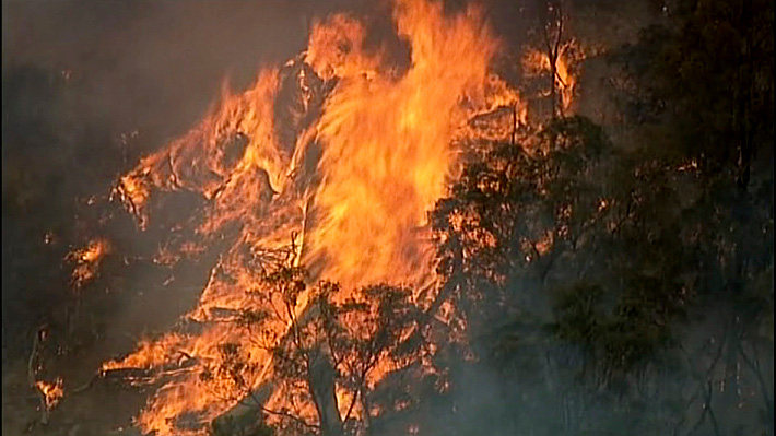 Confirman la muerte de un bombero mientras combatía los incendios forestales en Australia