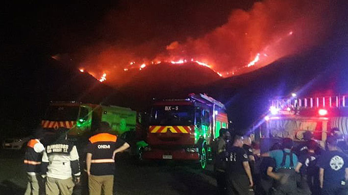 Incendio forestal en Coltauco consume 150 hectáreas y se mantiene en Alerta Roja