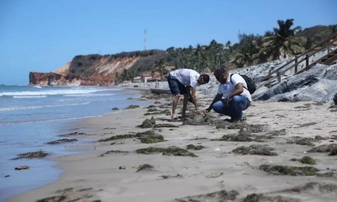 Aparecen nuevas manchas de petróleo en el litoral nordeste de Brasil