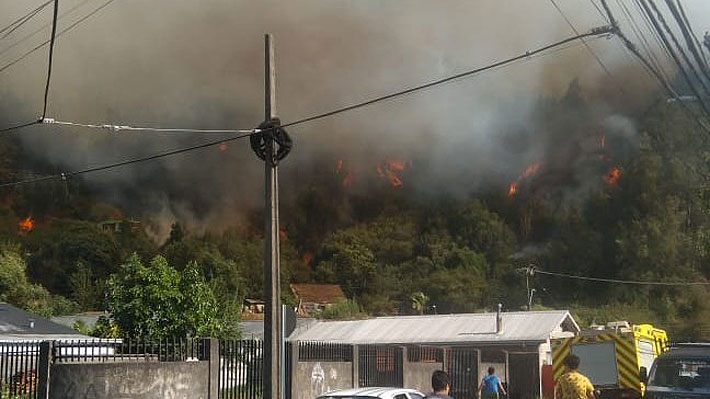 Onemi decreta Alerta Roja para Chiguayante por incendio forestal en cerro Manquimavida: Llamas amenazan a viviendas