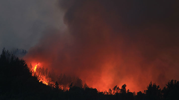 Incendios forestales llevan casi 3.700 hectáreas consumidas entre regiones de O'Higgins y La Araucanía