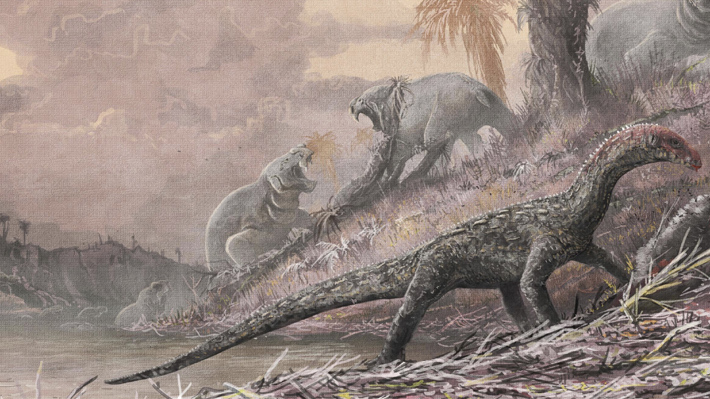 Científicos descubren que cola de dinosaurio albergaba un tumor de hace más de 60 millones de años