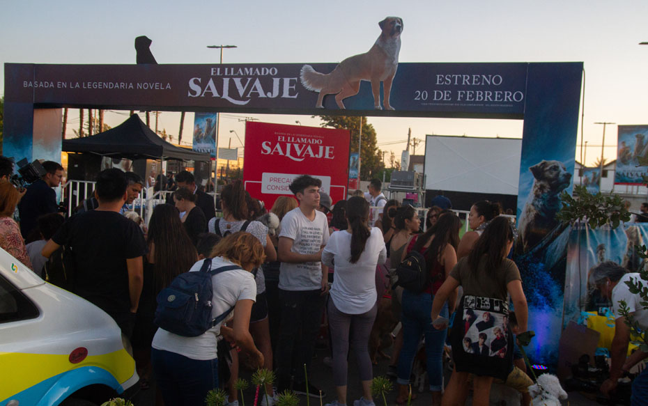 Galería: "El Llamado Salvaje" llegó a Chile con la primera avant premiere que recibió a los espectadores con sus perros