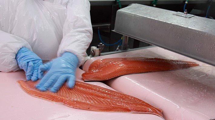 China evita el salmón importado tras vínculo con caso de coronavirus en Beijing y podría impactar en envíos chilenos