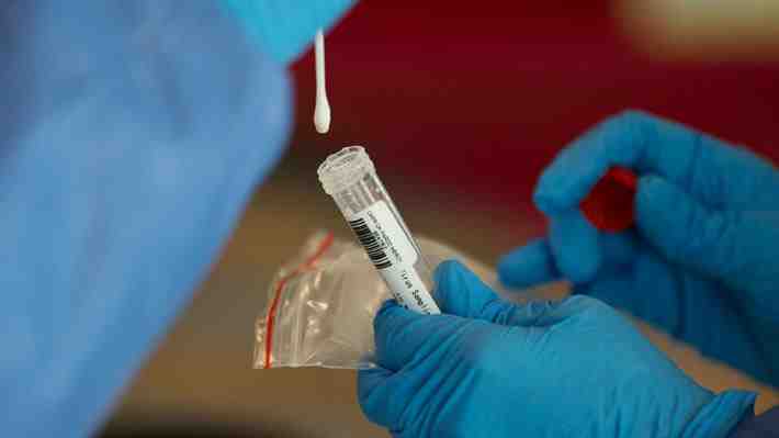 U. de Talca desarrolló test de coronavirus "más barato y rápido" que el PCR: Hallazgo fue publicado en revista Nature