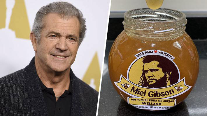Abogados de Mel Gibson explican "solicitud" a productora de miel chilena:  "Está dirigida al uso no autorizado de la imagen" | Emol.com