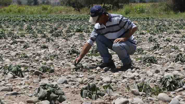 Chile contempla la década más cálida desde que hay registros y suma 14 años de sequía