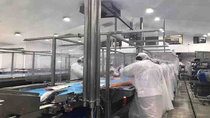 Salmoneras refuerzan medidas sanitarias ante "segunda ola" y manifiestan preocupación por situación en Los Lagos