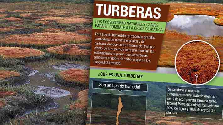 En el Día Mundial de los Humedales: Qué son las turberas, ecosistemas aliados en el combate a la crisis climática