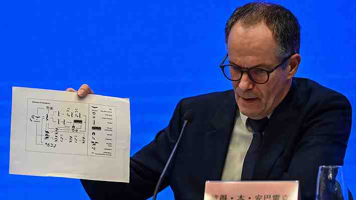 Misión de la OMS en China recalca que es "extremadamente improbable" que el covid-19 se deba a un error de laboratorio
