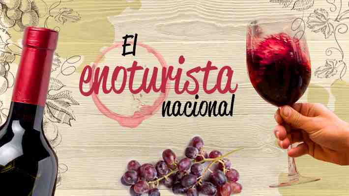 La mayoría visitaría viñas con parejas, pagaría hasta $20.000 por tour y tiene sobre 36 años: El perfil del enoturista nacional