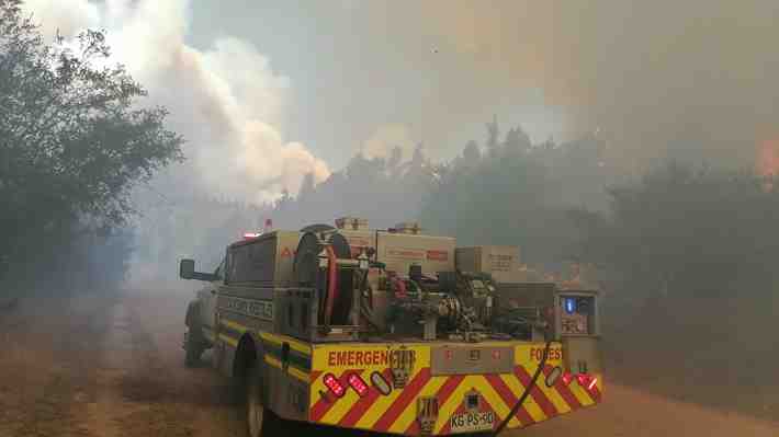 Declaran Alerta Roja para la comuna de Valparaíso por incendio forestal con "amenaza" a la Reserva Nacional Lago Peñuelas