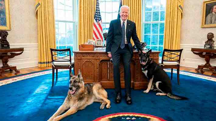 A los 13 años fallece "pacíficamente en casa" Champ, uno de los perros del presidente estadounidense Joe Biden