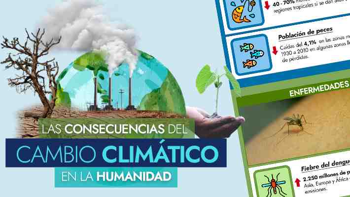 ¿Cómo la crisis climática afectará a la humanidad y qué consecuencias se podrán observar en 30 años?