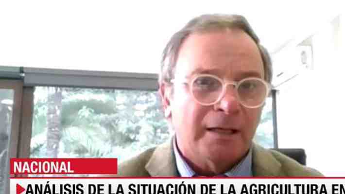 SNA y "preocupante" escasez de mano de obra: "Tenemos entre 20 y 30 mil trabajadores menos de los que necesitamos"