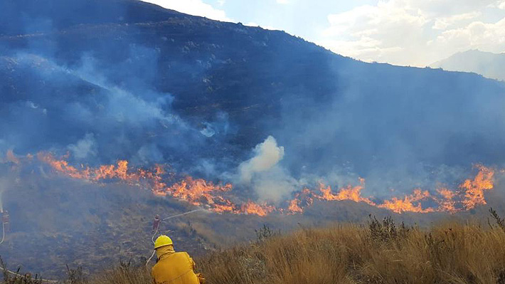 Incendio Forestal Arrasa Con 2 200 Hectáreas En La Zona De Los Andes De