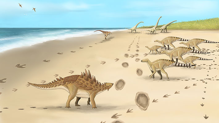 Fósiles hallados en isla de Inglaterra dan cuenta de la existencia de dos  grandes especies de dinosaurios depredadores 