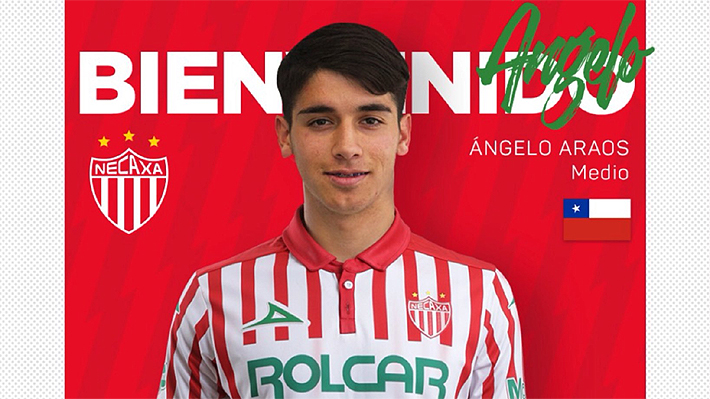 El Necaxa vuelve a llenarse de chilenos: Tras llegada de Nicolás Castillo,  ya es oficial arribo de Ángelo Araos 