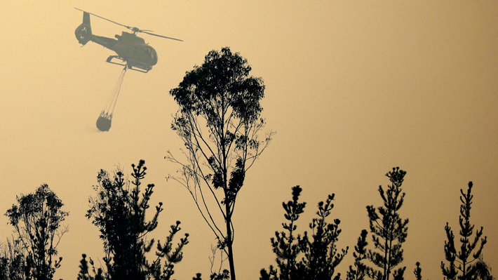 Al Menos Seis Incendios Forestales Están Activos En La Zona Centro Sur