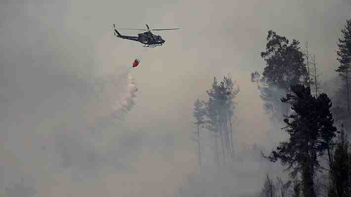 Se declara alerta roja y ordenan evacuación en localidades de Valparaíso por incendio forestal: Hay 15 casas afectadas