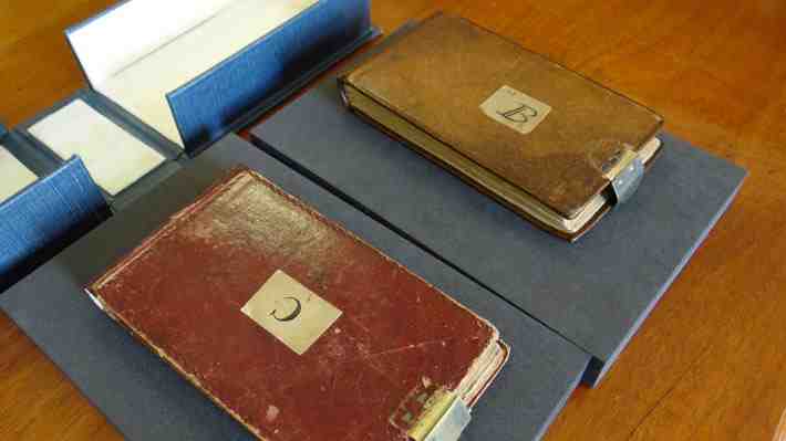 Cuadernos de Darwin que estuvieron 20 años desaparecidos fueron devueltos a la U. de Cambridge en una bolsa de regalo