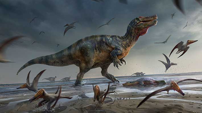Descubren en la isla de Wight fósiles de un dinosaurio que habría sido el  mayor depredador de Europa 