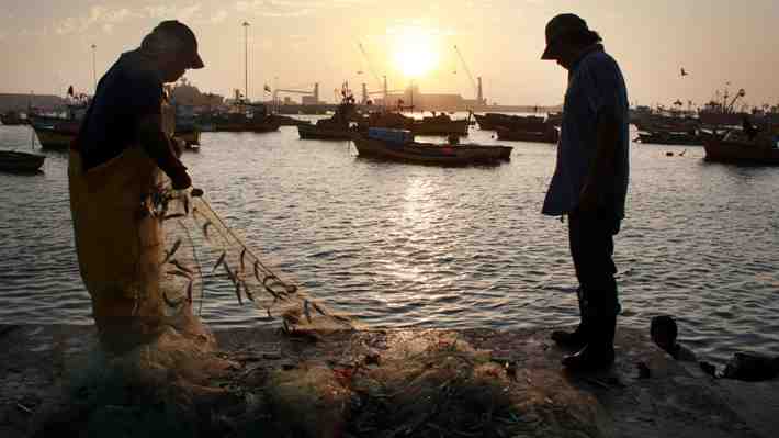 Mayor representatividad y avanzar en una nueva ley: Los compromisos del Gobierno para impulsar la pesca artesanal