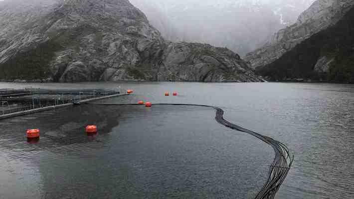 Sanción histórica: SMA revoca permisos ambientales a tres centros de salmonera noruega Nova Austral en Magallanes