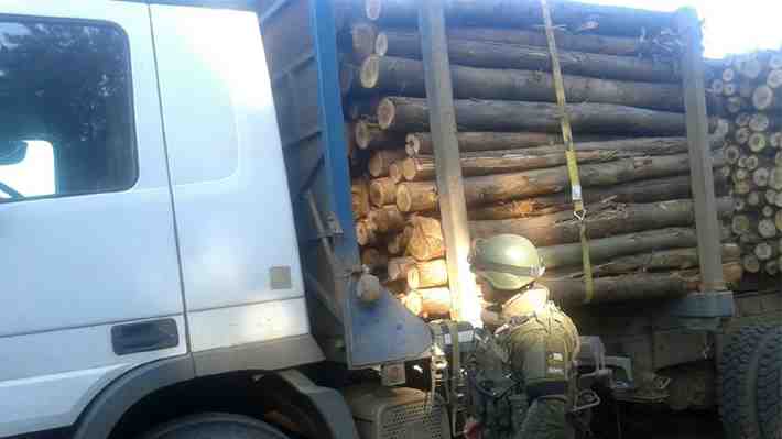 Proyecto del robo de madera: Gobierno ingresará indicación mientras la Cámara aprueba Comisión Investigadora
