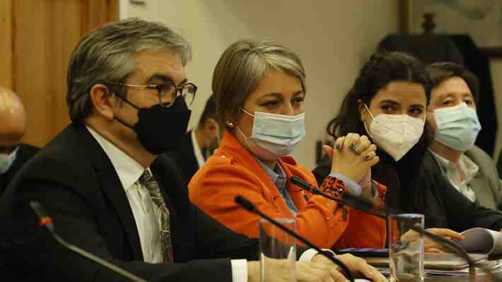 Comisión de Hacienda aprueba por unanimidad bono invierno y extensión del posnatal de emergencia