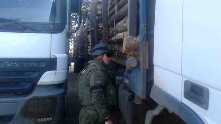Interior apuesta con indicaciones al proyecto del robo de madera para impulsar agenda legislativa de seguridad