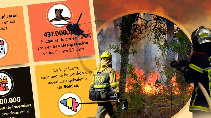 Incendios forestales en el mundo se han duplicado: De 437 millones de hectáreas perdidas el 27,1&#37; se debió al fuego