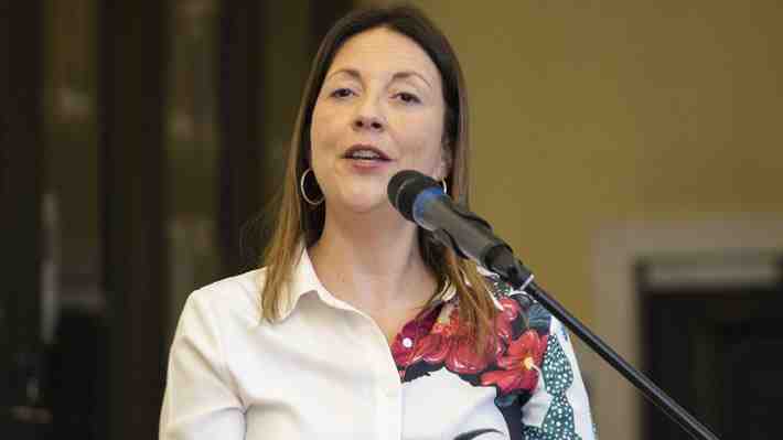 PPD defiende a Vega y dice que en su comunicación con Llaitul "su única intención fue cumplir el mandato del Ejecutivo"