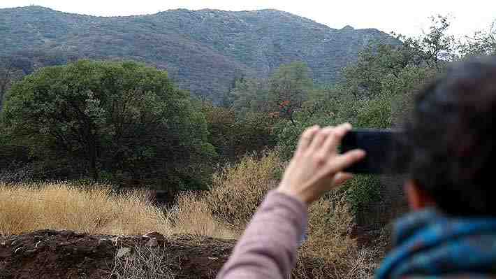 La Florida busca expropiar bosque Panul, uno de los pulmones verdes más grandes de la RM